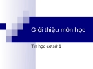 Bài giảng Tin học cơ sở: Bài 0 - Trần Thị Minh Châu