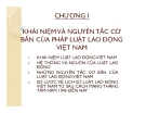 Bài giảng Luật lao động - Chương 1: Khái niệm và nguyên tắc cơ bản của pháp luật lao động Việt Nam