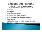 Bài giảng Những vấn đề chung về luật lao động: Chương 2 - ThS. Đinh Thị Chiến