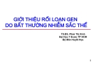 Bài giảng Huyết học: Giới thiệu rối loạn gen do bất thường nhiễm sắc thể - TS.BS. Phan Thị Xinh