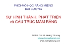 Bài giảng Phôi - Mô học răng miệng đại cương: Sự hình thành, phát triển và cấu trúc mầm răng - NGND.GS.BS .Hoàng Tử Hùng