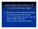 Bài giảng Bảo hiểm hỏa hoạn và các rủi ro đặc biệt (2014)