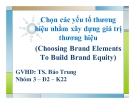 Thuyết trình: Chọn các yếu tố thương hiệu nhằm xây dựng giá trị thương hiệu (Choosing Brand Elements To Build Brand Equity)