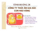 Tình huống 28: Công ty thức ăn gia súc Con Heo Vàng