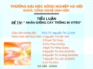 Tiểu luận: Nhân giống cây trồng in vitro