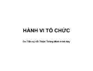 Bài giảng Hành vi tổ chức: Chương 1 - TS. Hồ Thiện Thông Minh