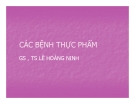 Bài giảng Các bệnh thực phầm - TS. Lê Hoàng Ninh