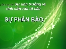 Thuyết trình Chương VI: Sự sinh trưởng và sinh sản của tế bào