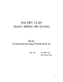 Tiểu luận Mạng thông tin quang: Xu hướng tích hợp mạng IP/Quang thế hệ sau