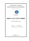 Khóa luận tốt nghiệp Văn hóa du lịch: Một số giải pháp nhằm nâng cao chất lượng chương trình du lịch tại công ty lữ hành Hanoitourist ﻿