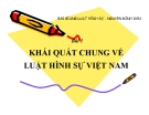 Bài giảng Luật hình sự: Bài 1 - Nguyễn Đình Sơn