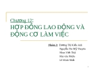 Bài thuyết trình: Kinh tế lao động - Hợp đồng lao động và động cơ làm việc