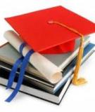 PhD. thesis: Completing the Financial instruments accounting for non-financial firms in Vietnam