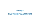 Bài giảng Kinh tế vĩ mô - Chương 8: Thất nghiệp và lạm phát (2014)