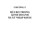 Bài giảng Quản trị rủi ro: Chương 5 - TS. Huỳnh Minh Triết