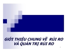 Bài giảng Giới thiệu chung về rủi ro và quản trị rủi ro