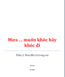 Truyện: Mưa … muốn khóc hãy khóc đi: Phần 2 - Tiêu Dao