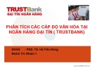 Thuyết trình: Phân tích các cấp độ văn hóa tại ngân hàng Đại Tín (Trustbank)