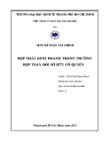 Tiểu luận Kế toán tài chính: Hợp nhất kinh doanh trong trường hợp thay đổi sở hữu cổ quyền