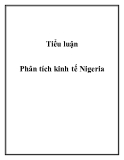 Tiểu luận: Phân tích kinh tế Nigeria