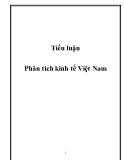 Tiểu luận: Phân tích kinh tế Việt Nam