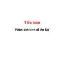 Tiểu luận: Phân tích kinh tế Ấn Độ