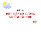 Bài giảng Sinh học 12 bài 6: Đột biến số lượng nhiễm sắc thể