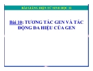 Bài giảng Sinh học 12 bài 10: Tương tác gen và tác động đa hiệu của gen