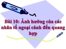 Bài giảng Sinh học 11 bài 10: Ảnh hưởng của các nhân tố ngoại cảnh đến quang hợp