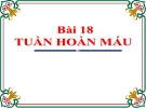 Bài giảng Sinh học 11 bài 18: Tuần hoàn máu