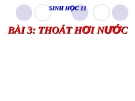 Bài giảng Sinh học 11 bài 3: Thoát hơi nước