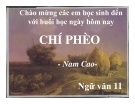 Bài giảng Ngữ văn 11 tuần 14: Chí Phèo (tiếp theo)