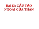 Bài giảng Sinh học 6 bài 13: Cấu tạo ngoài của thân