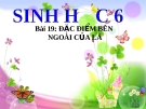 Bài giảng Sinh học 6 bài 19: Đặc điểm ngoài của lá