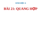 Bài giảng Sinh học 6 bài 21: Quang hợp