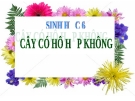 Bài giảng Sinh học 6 bài 23: Cây có hô hấp không?