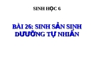 Bài giảng Sinh học 6 bài 26: Sự sinh sản sinh dưỡng tự nhiên