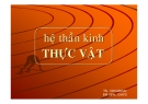 Bài giảng Hệ thần kinh thực vật - TS. Võ Văn Hải