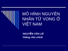 Bài giảng Mô hình nguyên nhân tử vong ở Việt Nam - Nguyễn Văn Lơ