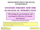 Human behavior in the social environment systems theory and the ecological perspective