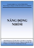 Năng động nhóm - Trung tâm Nghiên cứu Tư vấn CTXH & PTCĐ