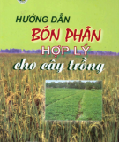 Kinh nghiệm bón phân hợp lý cho cây trồng: Phần 2