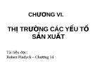 Bài giảng Kinh tế học vi mô: Chương VI - TS. Nguyễn Quỳnh Hoa