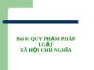 Bài giảng Pháp luật đại cương - Bài 8: Quy phạm pháp luật