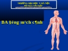 Bài giảng Giải phẫu: Ba động mạch cảnh - ĐH y Hà Nội