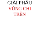 Bài giảng Giải phẫu vùng chi trên