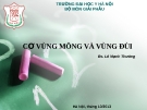 Bài giảng Giải phẫu: Cơ vùng mông và vùng đùi - Bs. Lê Mạnh Thường