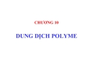 Bài giảng Hoá học và hoá lý polyme: Chương 10