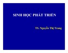 Bài giảng Sinh học phát triển - TS. Nguyễn Thị Trang