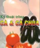 Hướng dẫn trồng cà và cà chua: Phần 2